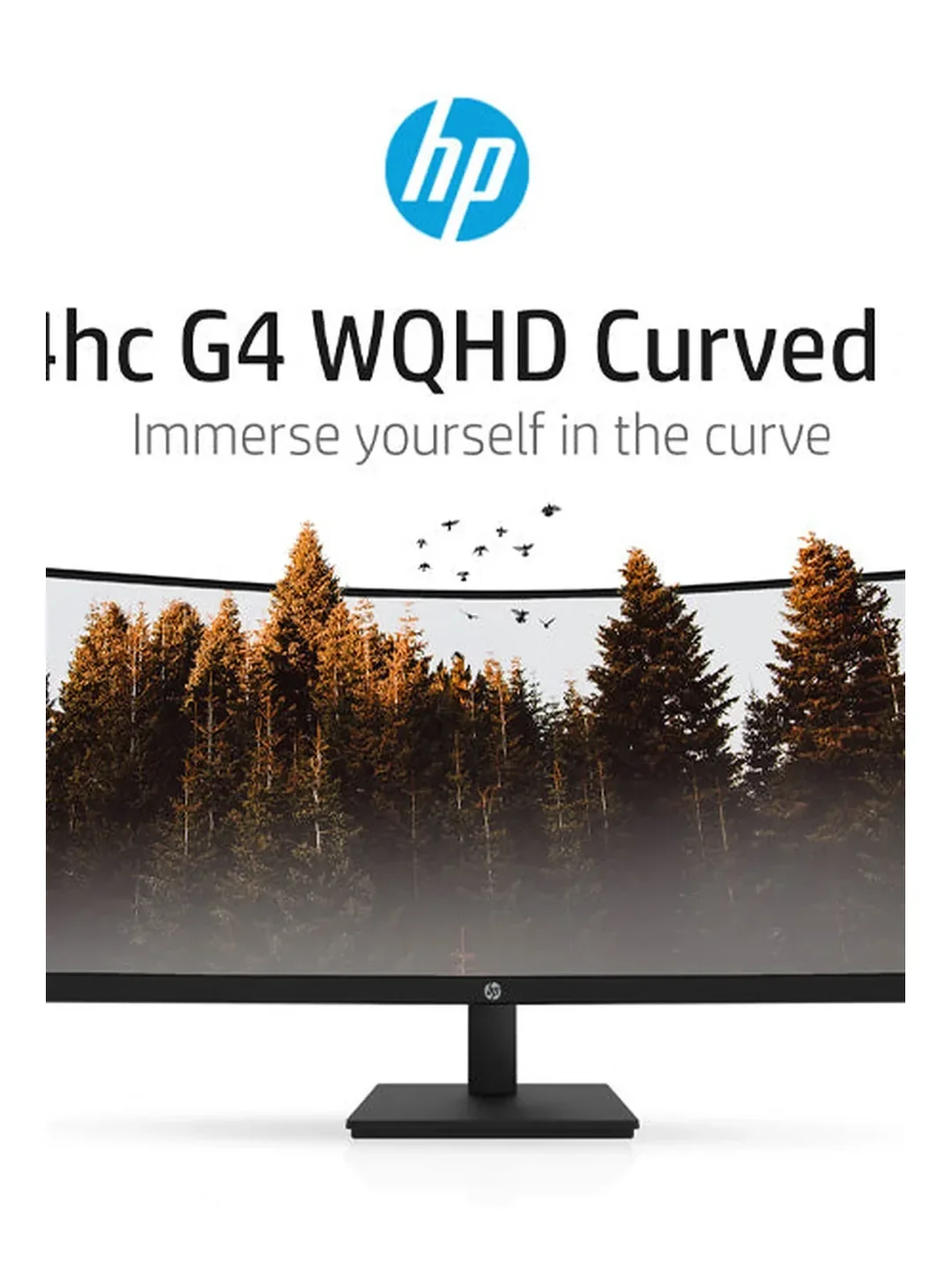 HP - 34" P34hc G4 Curved Monitor, VA, 5mc, 100Hz, WQHD (3440x1440), HDMI, DisplayPort, TypeC, Black
