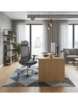 ECO FLEXION ofis kreslosi, kul rang 5