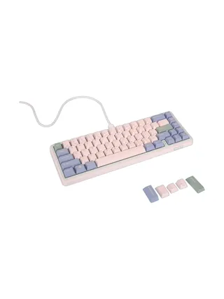 Varmilo Minilo VXT67 HOT-SWAP Eucalyptus Gateron G Pro 2.0 Yellow EN klaviatura