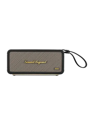 Портативная акустическая система 2E SoundLegend 80Вт, BT 5.3, TWS, FLAC, MP3, WAV, EQ, Power Bank, Черный