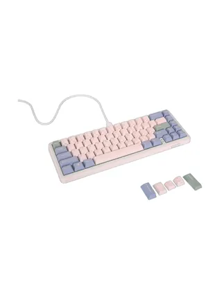 Varmilo Minilo VXT67 HOT-SWAP Eucalyptus Gateron G Pro 2.0 Brown EN klaviatura